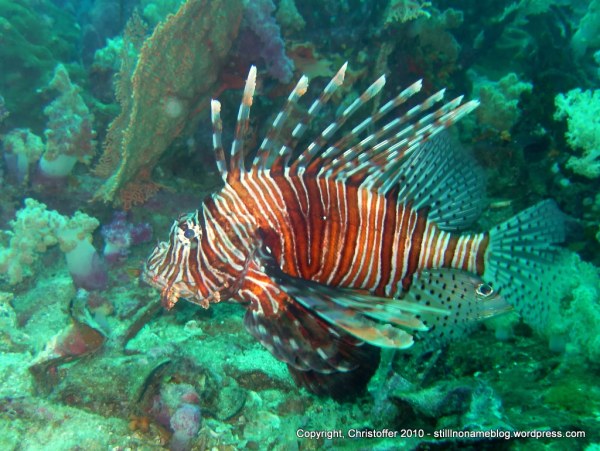 SEA&SEA 1200HD